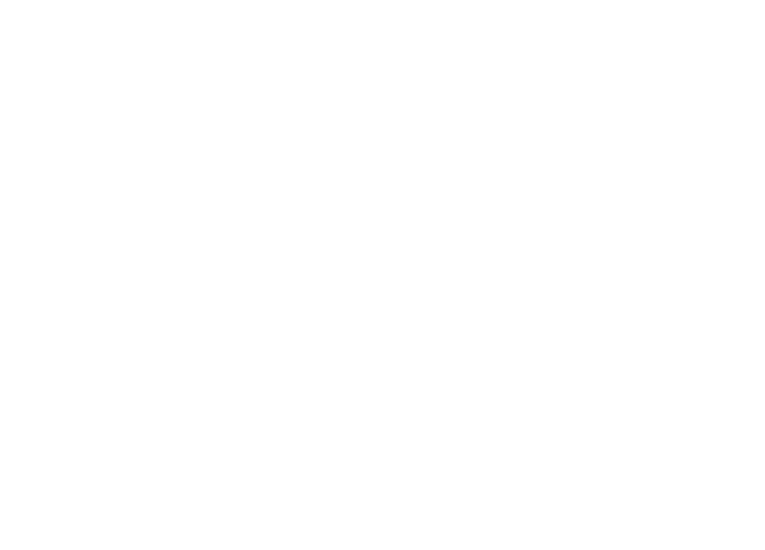 HOL HOL